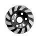 Алмазный шлифовальный диск RIAS DGW-112 для бетона 100 мм Black (3_07894) 3_07894 фото 1