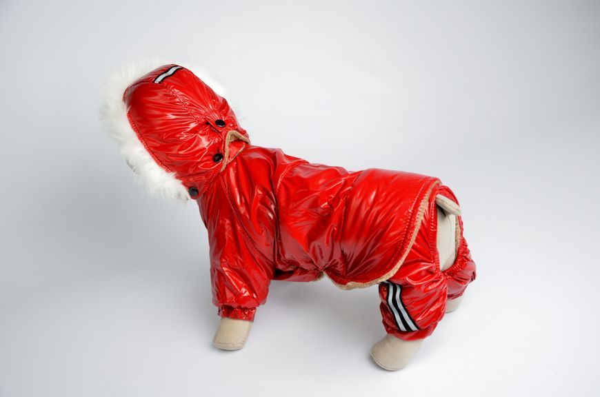 Костюм з капюшоном Бруно Zoobaza - червоний, 25х40 (8_01831) 8_01831 фото
