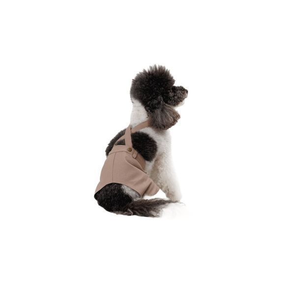 Шорти Pet Fashion Leo для собак М (8_00621) 8_00621 фото