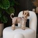 Шорти Pet Fashion Leo для собак М (8_00621) 8_00621 фото 3