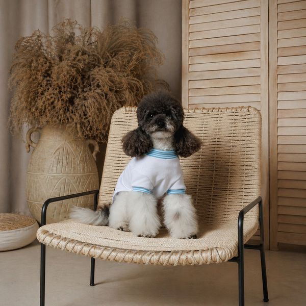 Футболка Pet Fashion Polo для собак XS2 (8_00555) 8_00555 фото