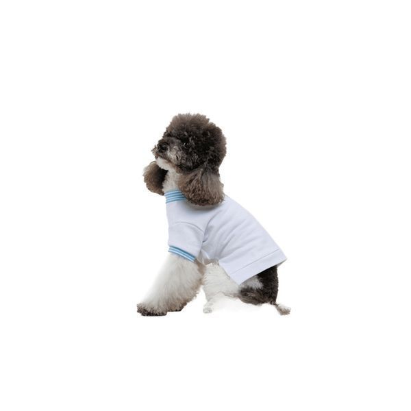 Футболка Pet Fashion Polo для собак XS2 (8_00555) 8_00555 фото