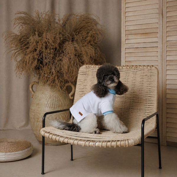 Футболка Pet Fashion Polo для собак XS2 (8_00555) 8_00555 фото