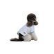 Футболка Pet Fashion Polo для собак XS2 (8_00555) 8_00555 фото 2