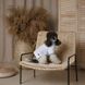 Футболка Pet Fashion Polo для собак XS2 (8_00555) 8_00555 фото 5