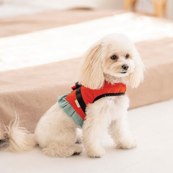 Шлея Monika ТМ Pet Fashion для собак S (8_00557) 8_00557 фото