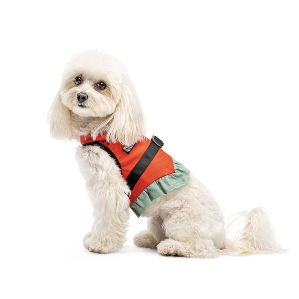 Шлея Monika ТМ Pet Fashion для собак S (8_00557) 8_00557 фото