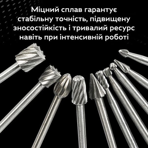 Набор роторных фрез RIAS HSS для гравировки и шлифования 10 шт в кейсе (3_07912) 3_07912 фото