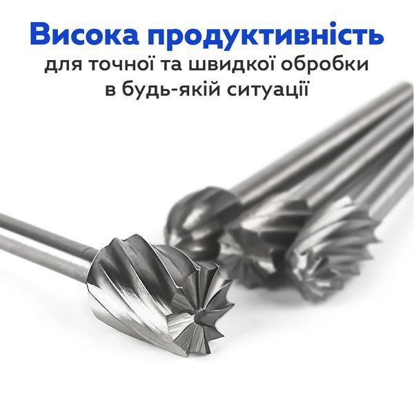 Набор роторных фрез RIAS HSS для гравировки и шлифования 10 шт в кейсе (3_07912) 3_07912 фото