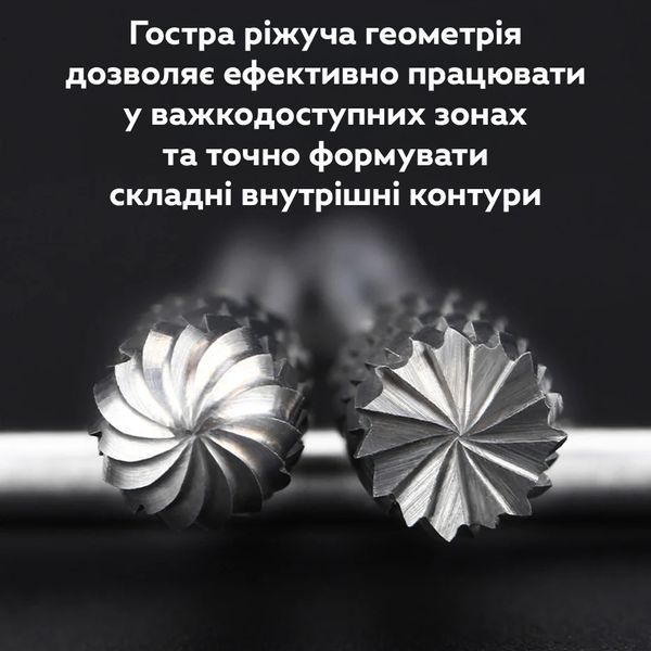 Набор роторных фрез RIAS HSS для гравировки и шлифования 10 шт в кейсе (3_07912) 3_07912 фото