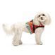 Шлея Monika ТМ Pet Fashion для собак S (8_00557) 8_00557 фото 3