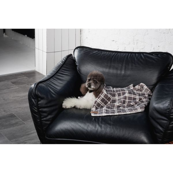 Плед Pet Fashion Bliss 2 для собак і котів плюш сірий картатий 70,5х94 см (8_00075) 8_00075 фото
