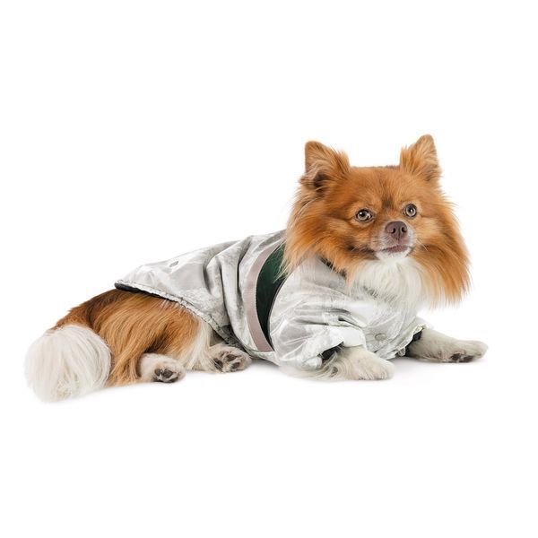 Куртка для собак Bony Pet Fashion, ХS білий, зелений (8_00431) 8_00431 фото