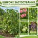 Садова шпалера-арка U-подібна RIAS CU-S з нейлоновою сіткою 120&times;120 см Green (3_08640) 3_08640 фото 6