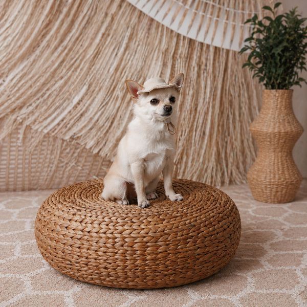 Панама Pet Fashion Gold для собак L (8_00448) 8_00448 фото