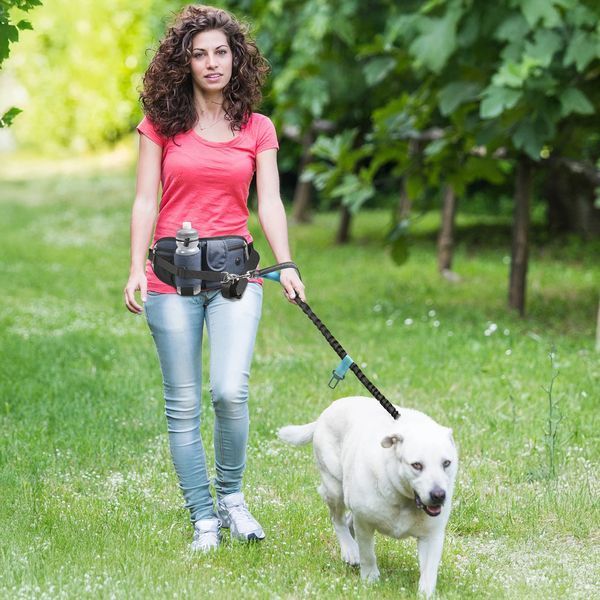 Сумка поясная CosmoPet CP-1035 для выгула собак 37х16х3см Dark Blue (3_06649) 3_06649 фото