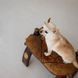 Панама Pet Fashion Gold для собак L (8_00448) 8_00448 фото 3