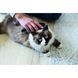 Щітка-пуходерка Trixie для собак м_яка пластикова 19 см (8_00216) 8_00216 фото 5